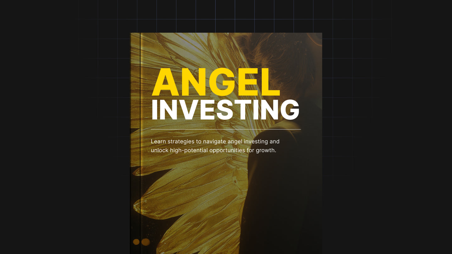 Angel Investing - Book
