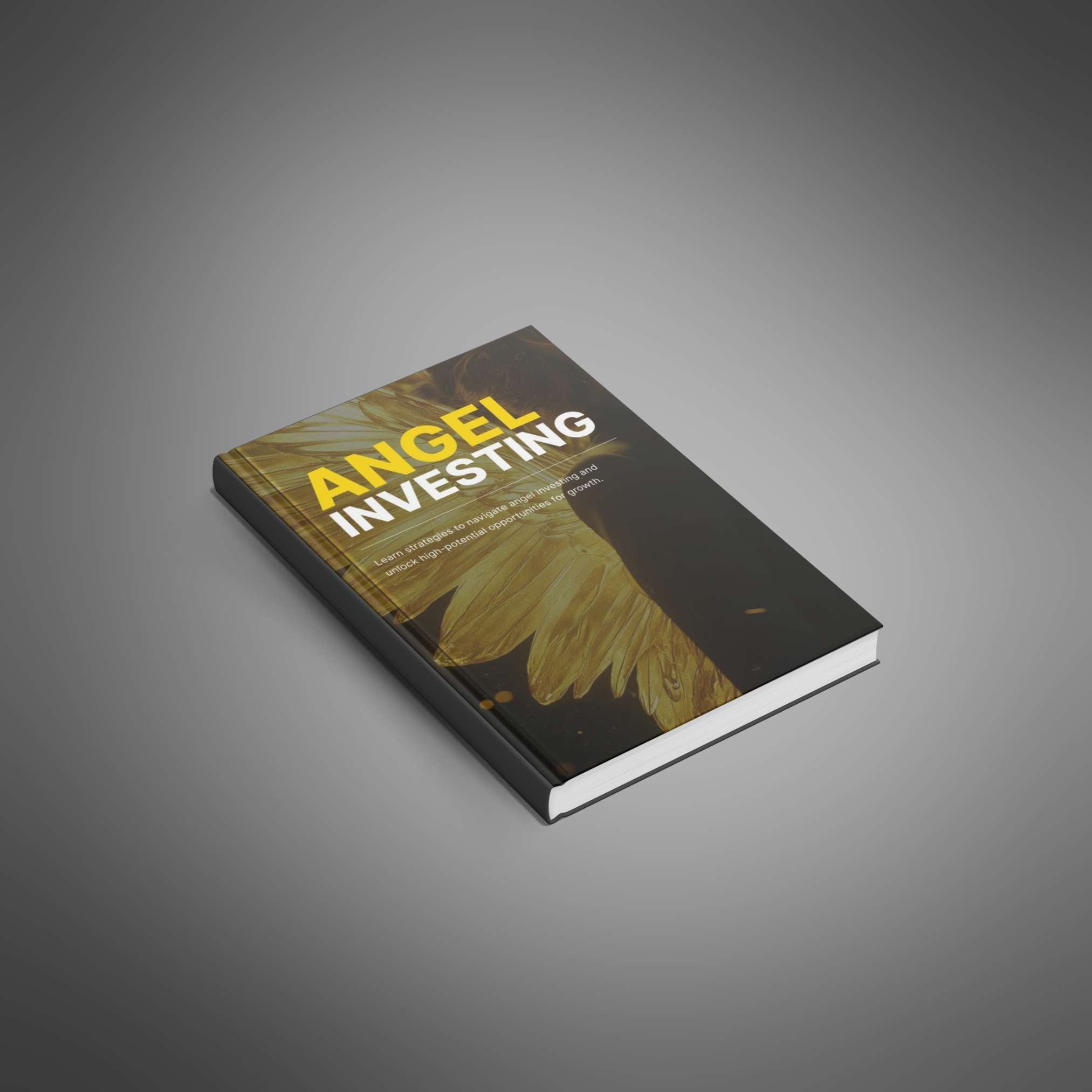 Angel Investing - Book