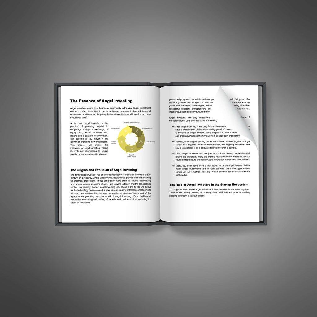 Angel Investing - Book