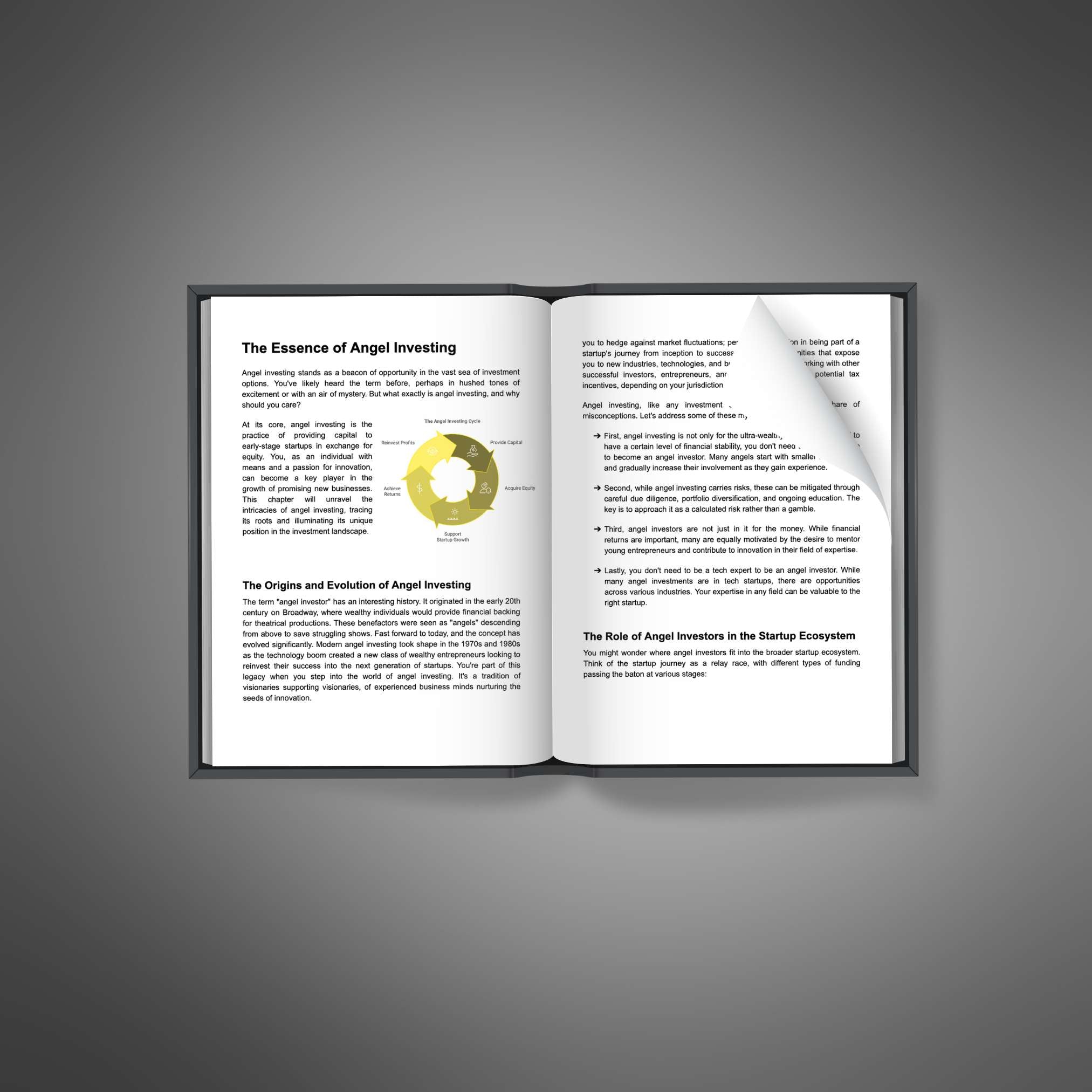 Angel Investing - Book