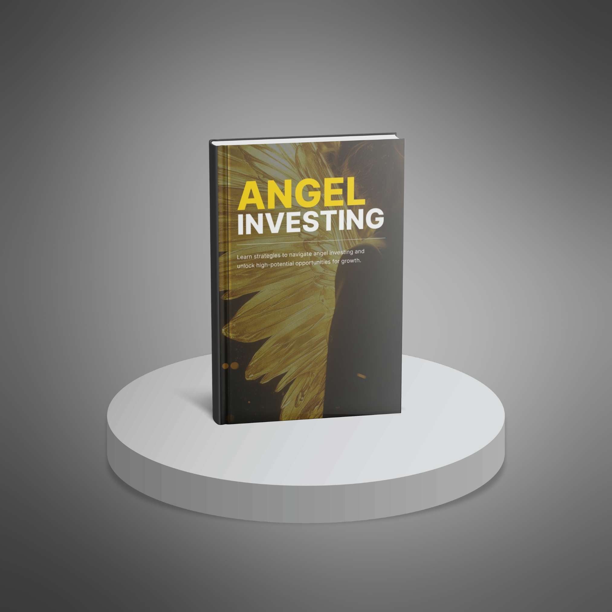 Angel Investing - Book