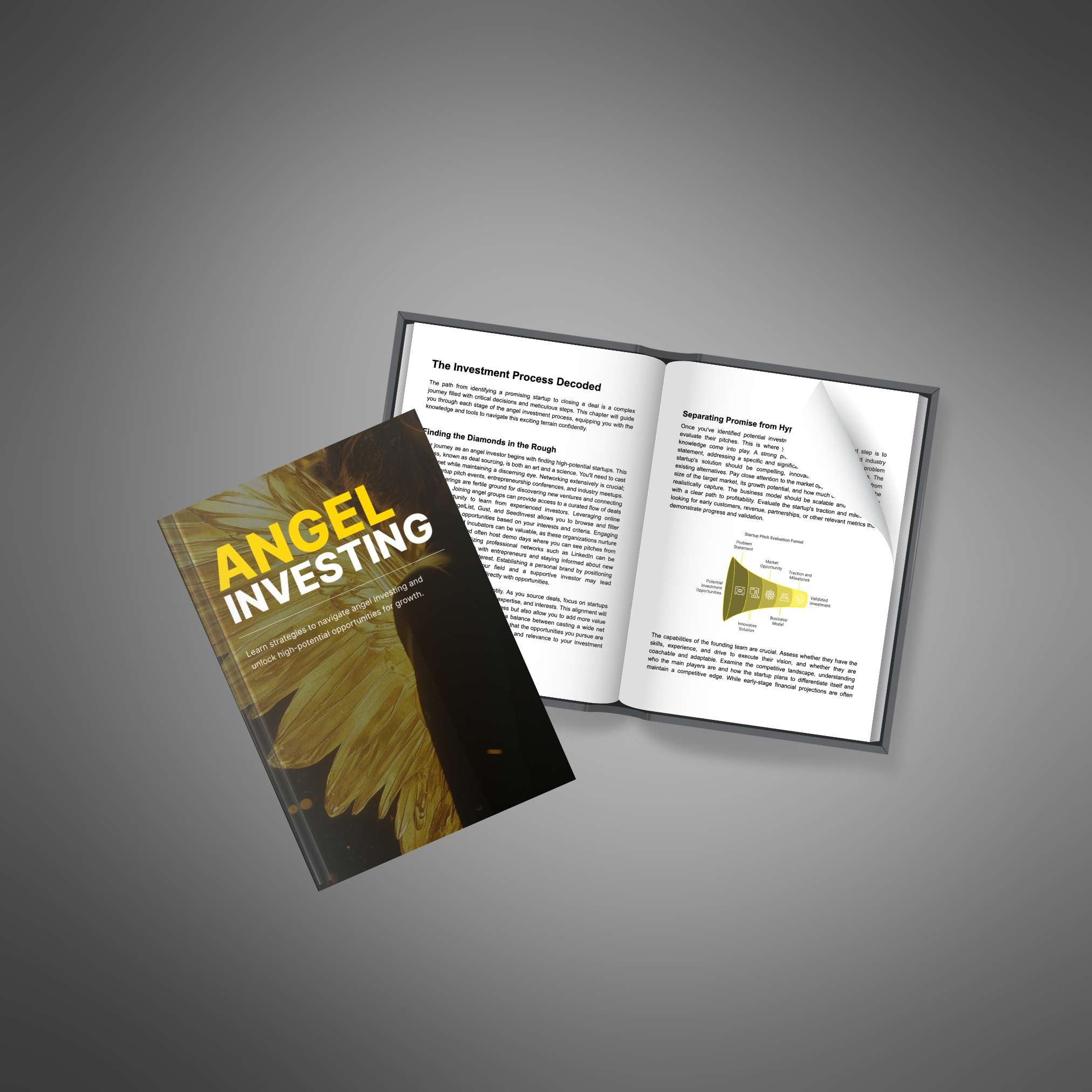 Angel Investing - Book