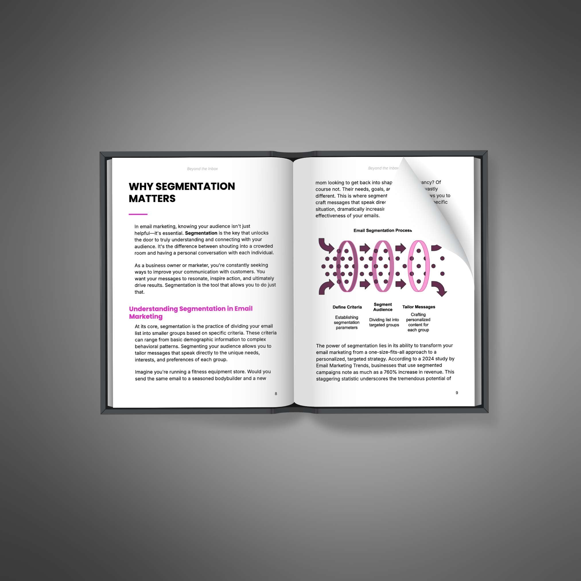 Beyond the Inbox - Book