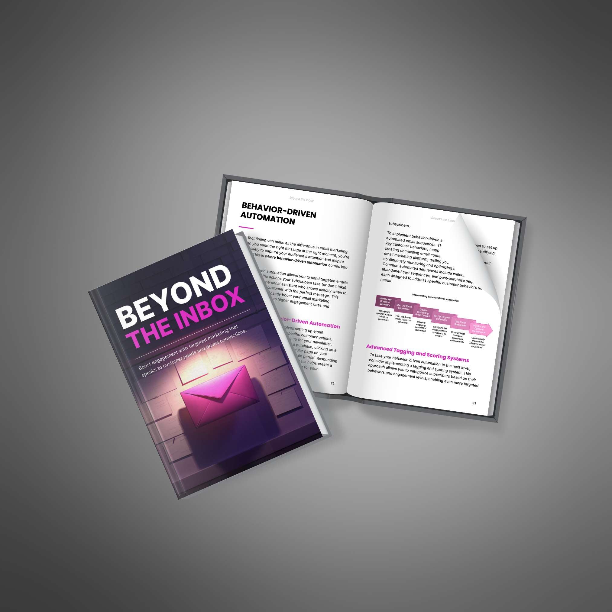 Beyond the Inbox - Book