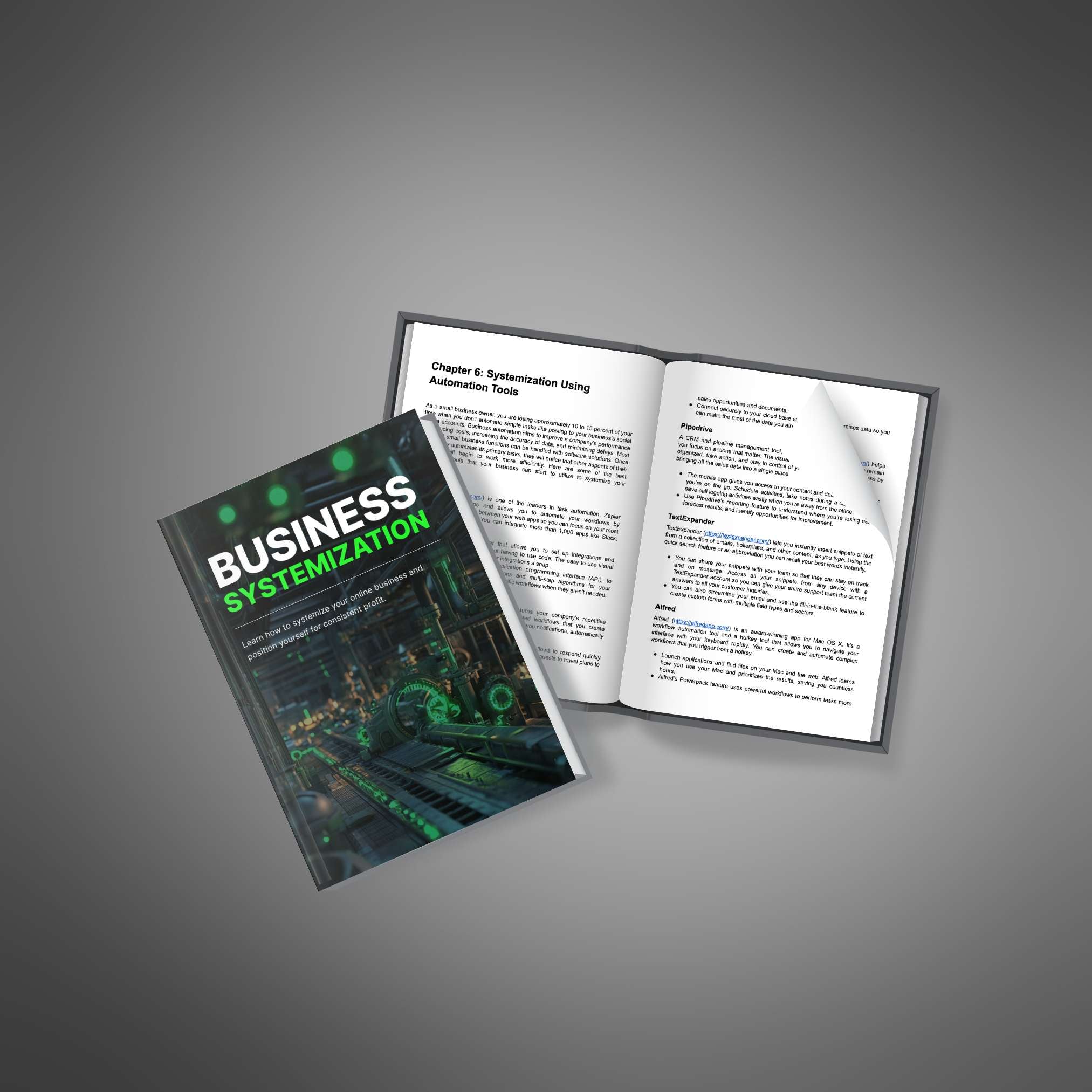 Business Systemization