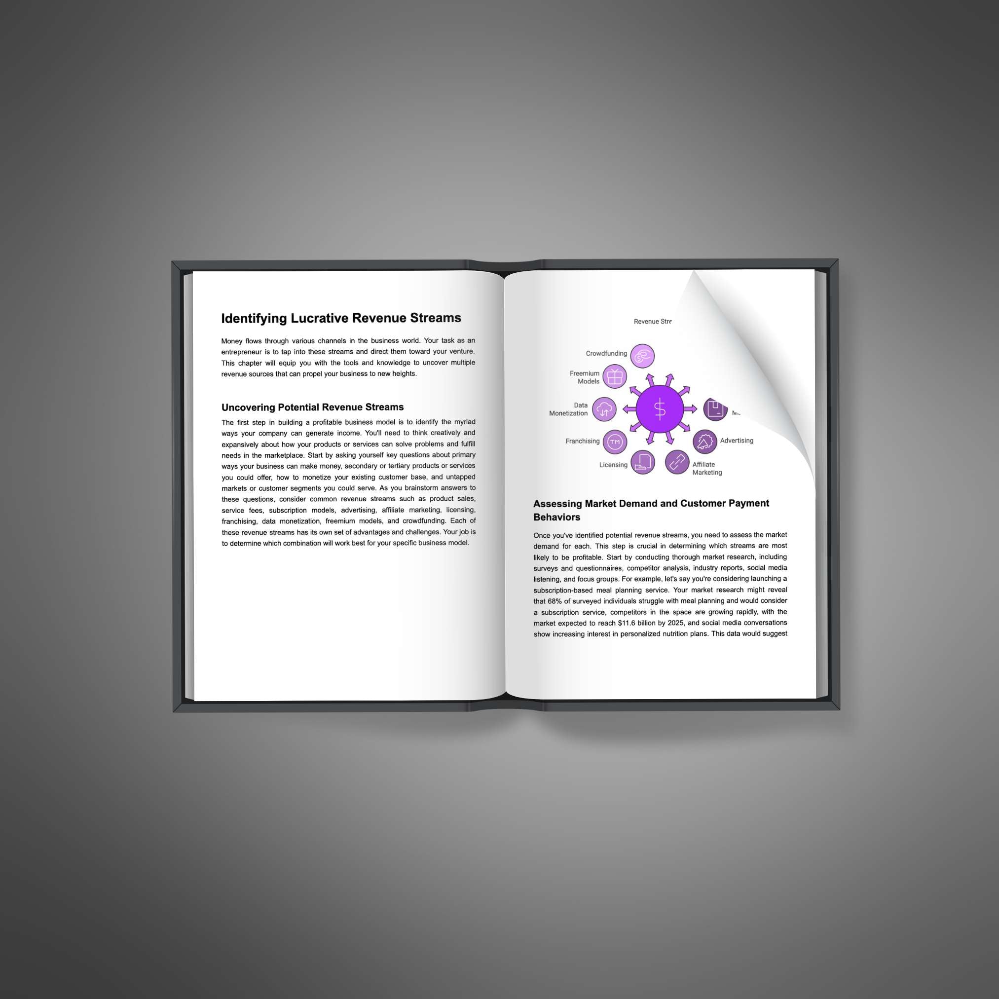 Designing a Profitable Business Model - Ebook
