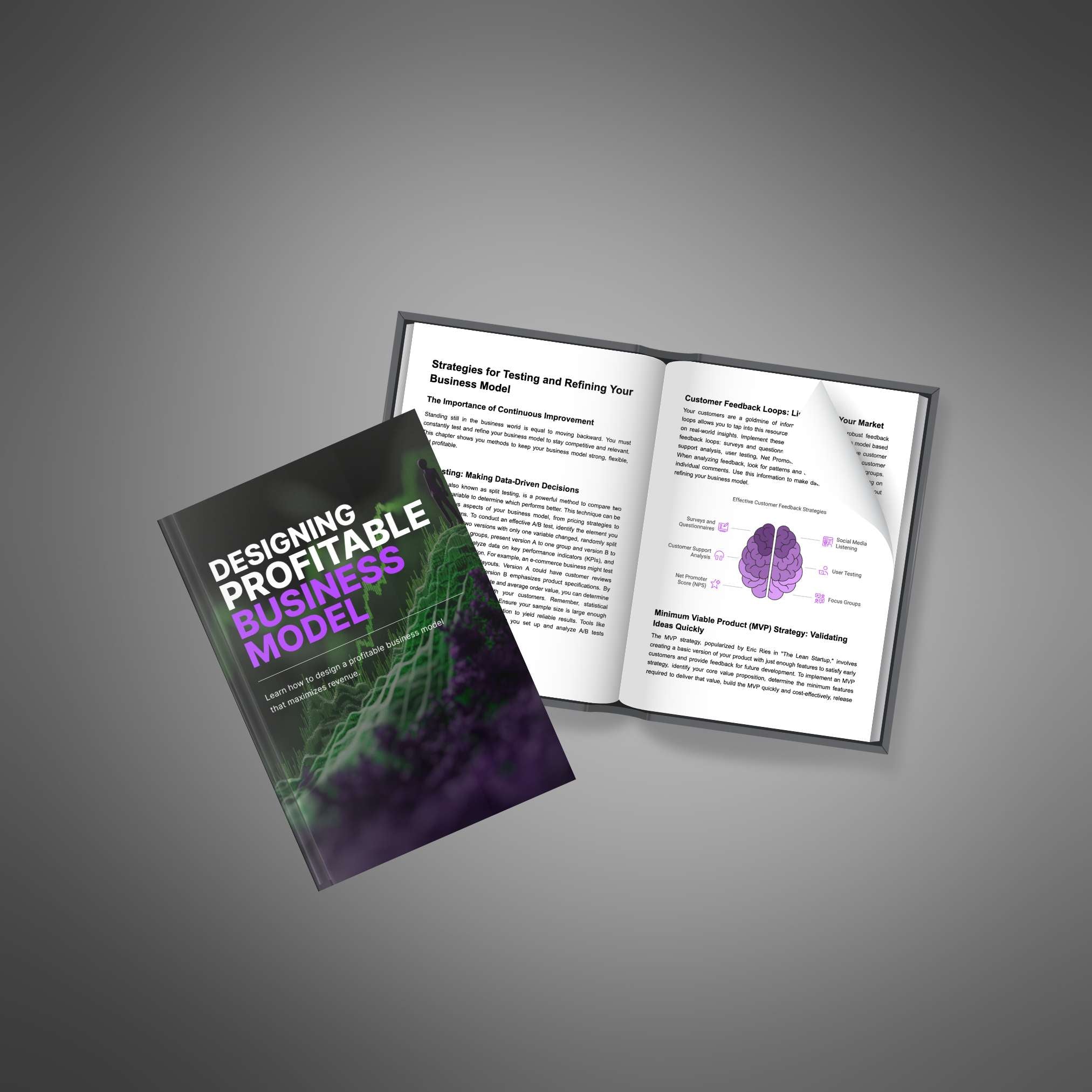 Designing a Profitable Business Model - Ebook