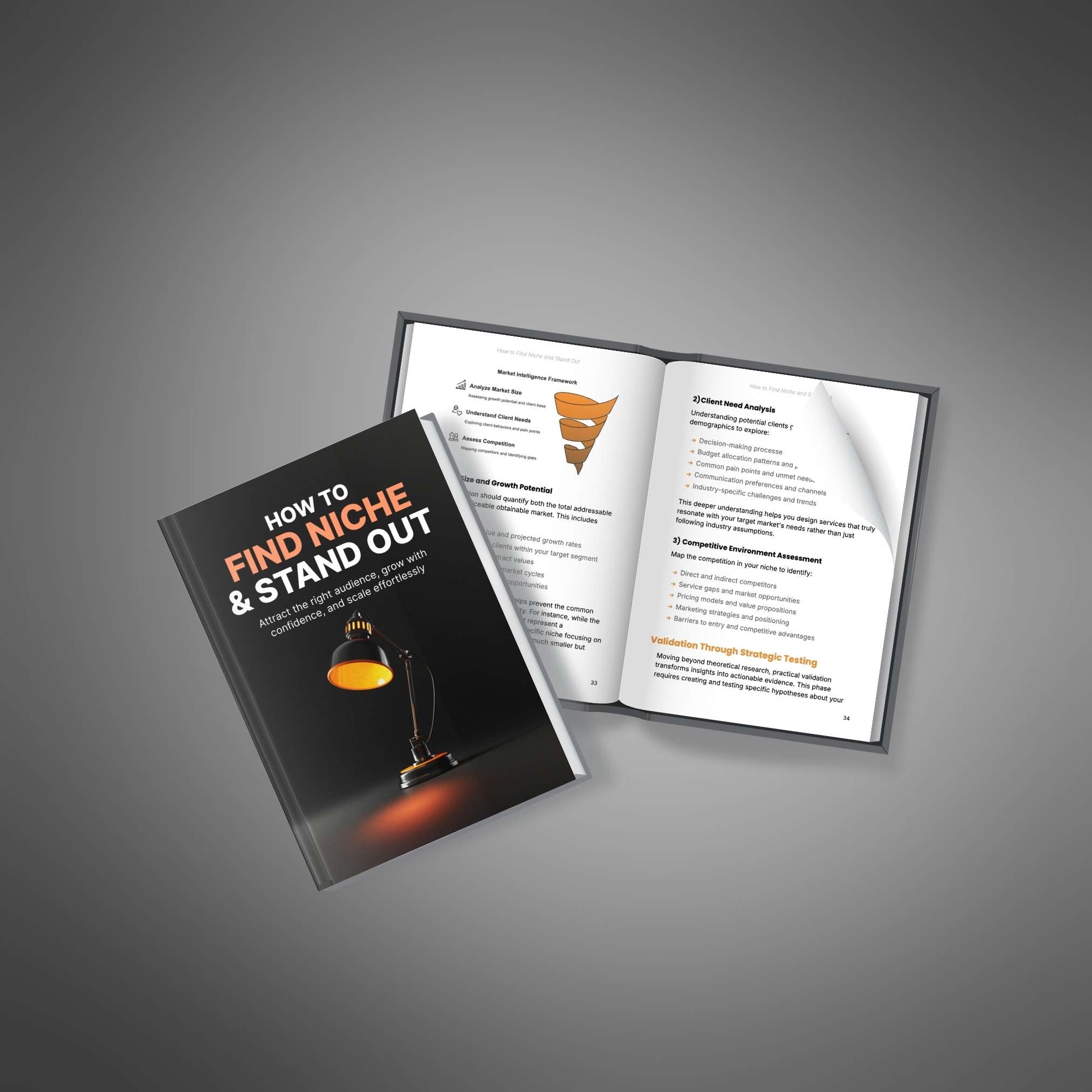 How to Find Niche & Stand Out - Book