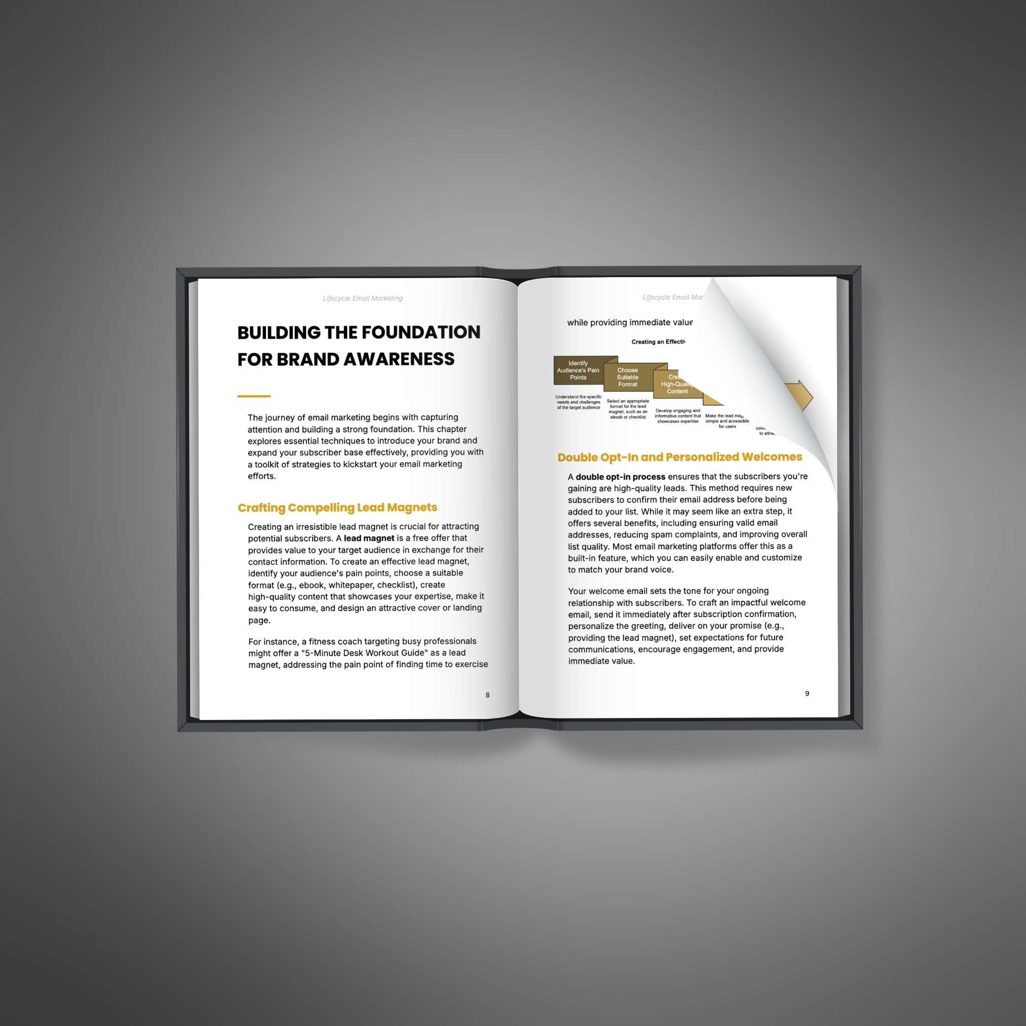 Lifecycle Email Marketing - Book
