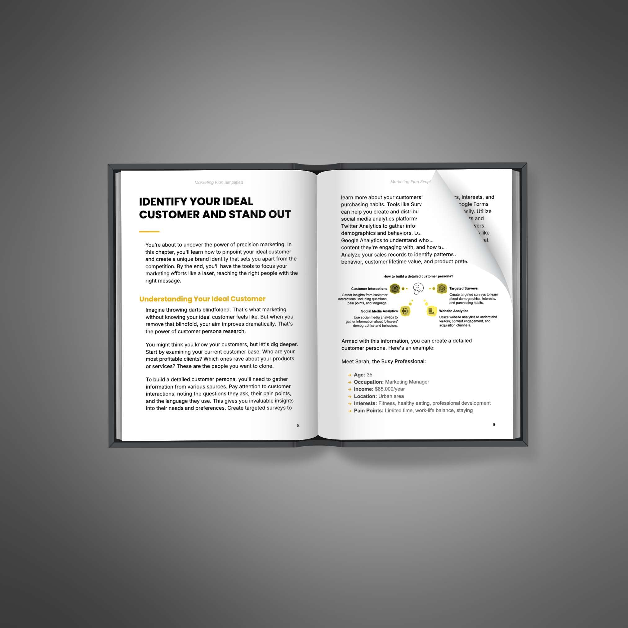 Marketing Plan Simplified - Book