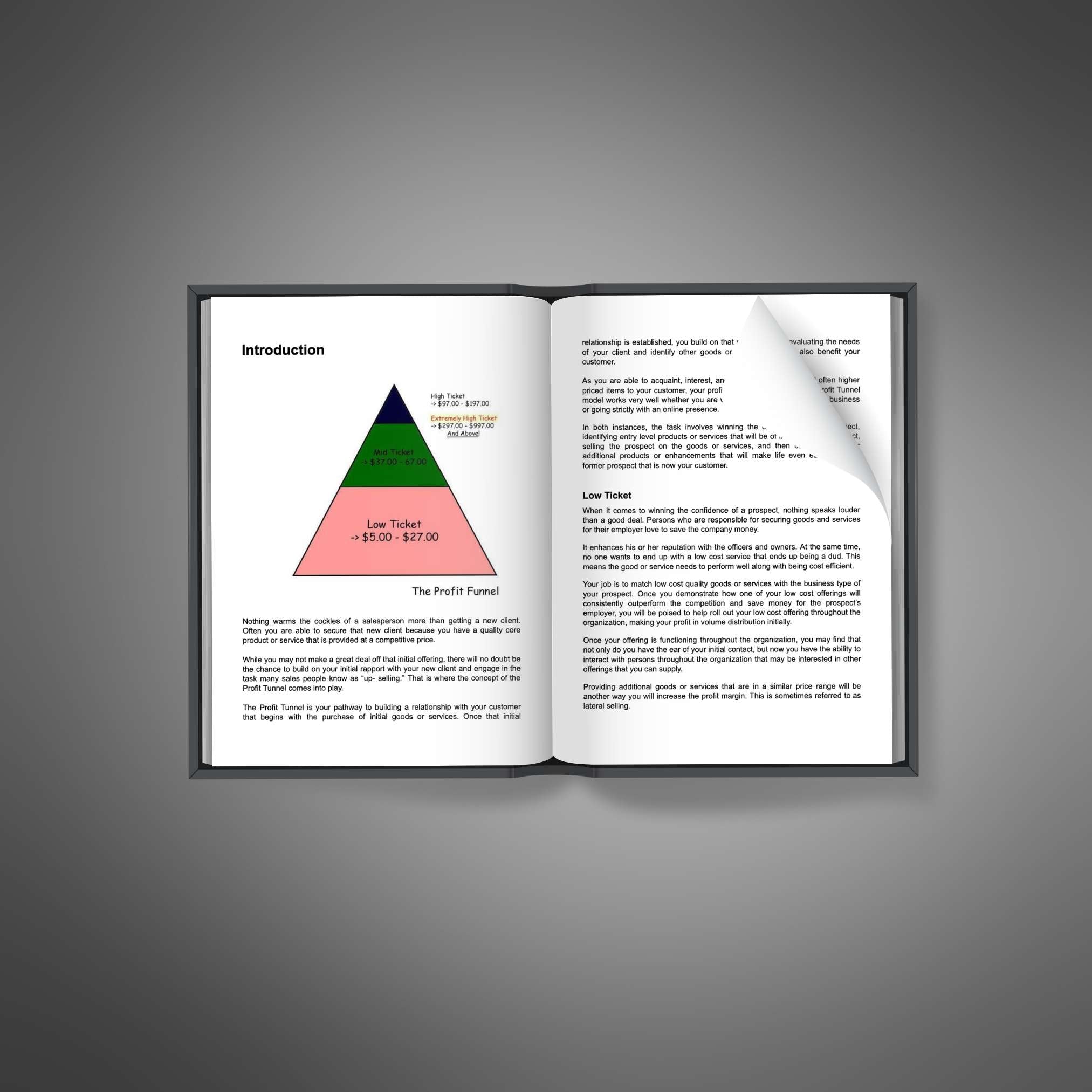Maximizing Sales Funnels