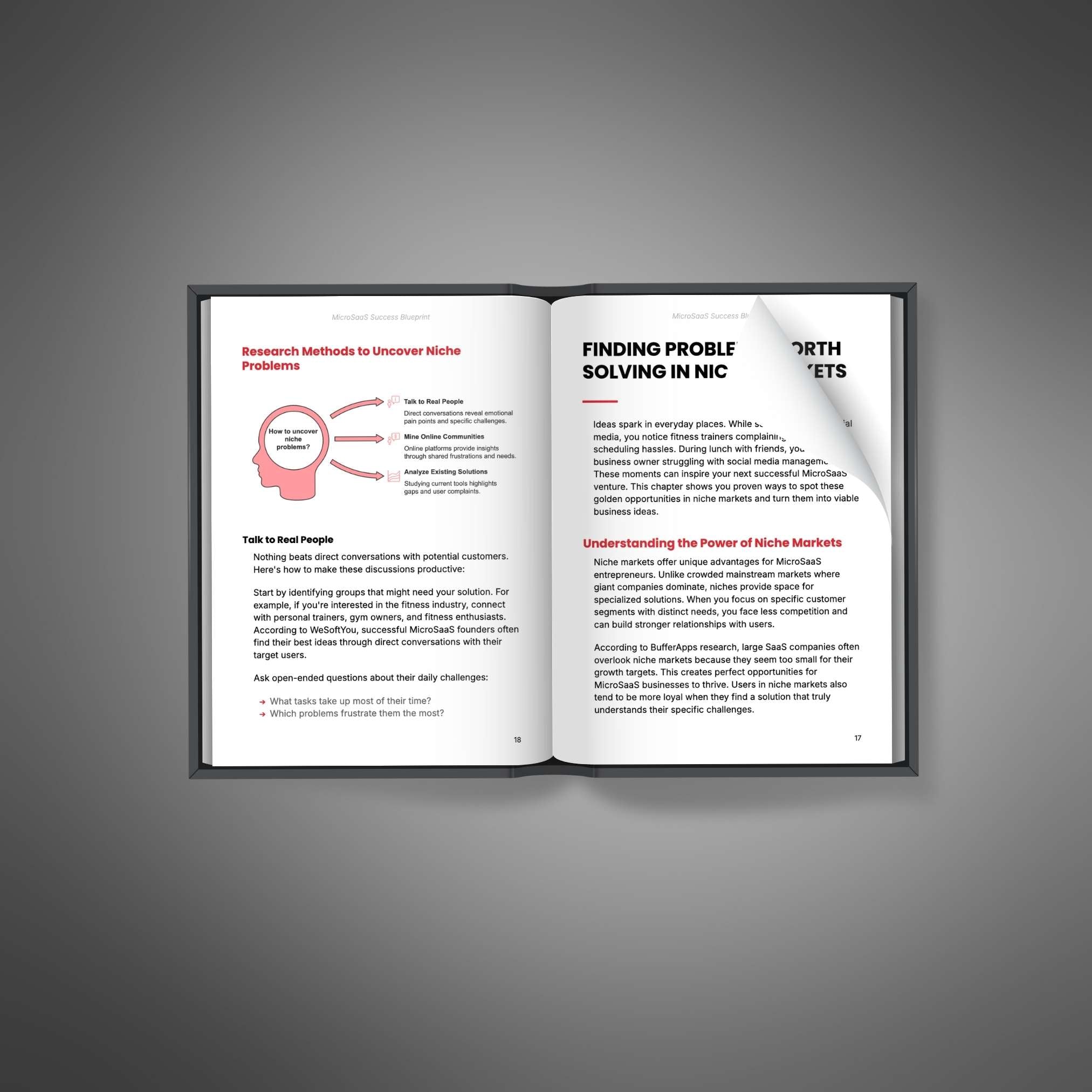 MicroSaaS Success Blueprint - Book