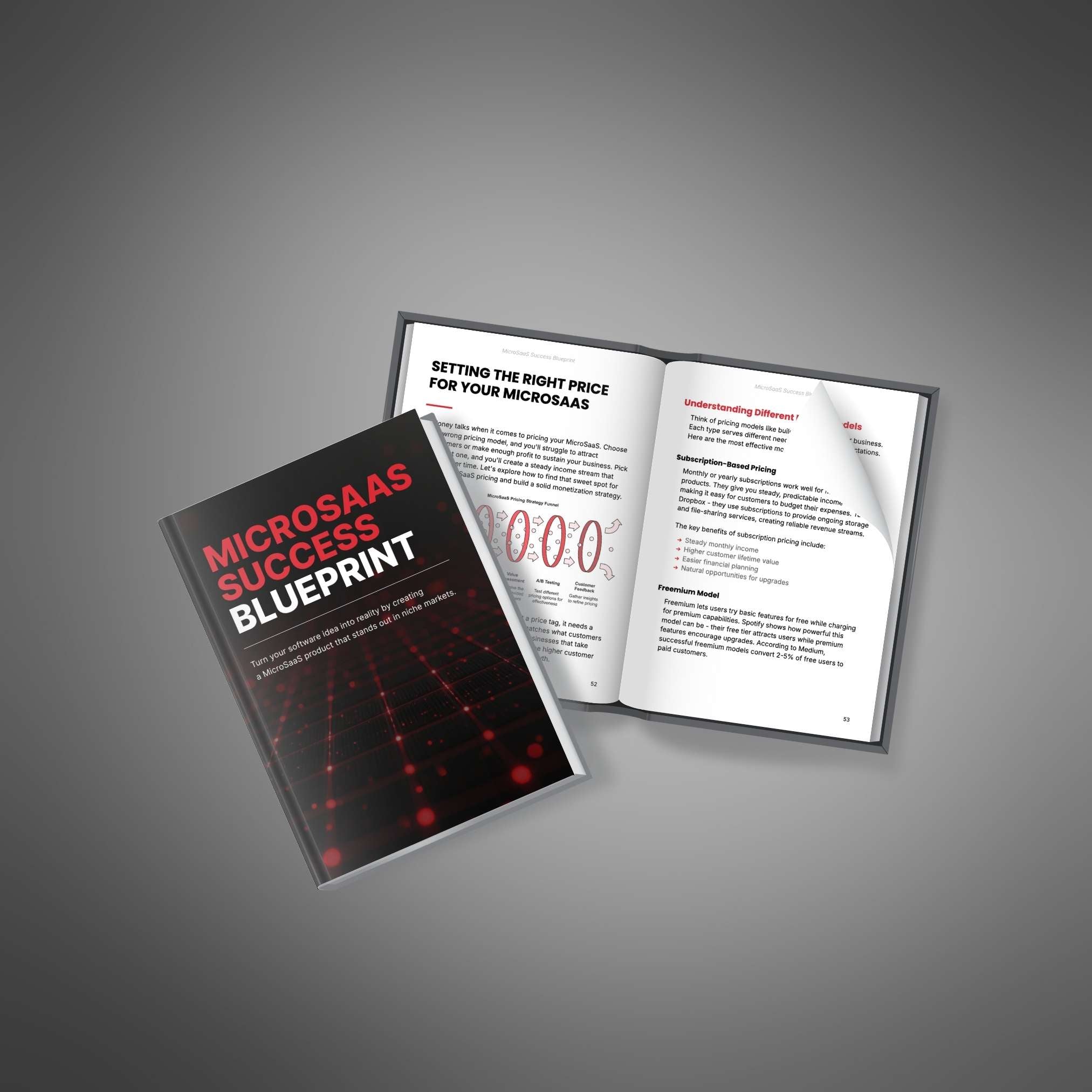 MicroSaaS Success Blueprint - Book
