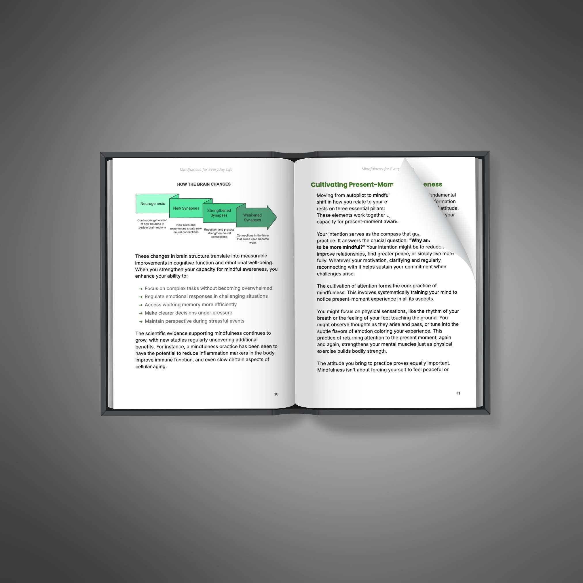 Mindfulness for Everyday Life - Ebook