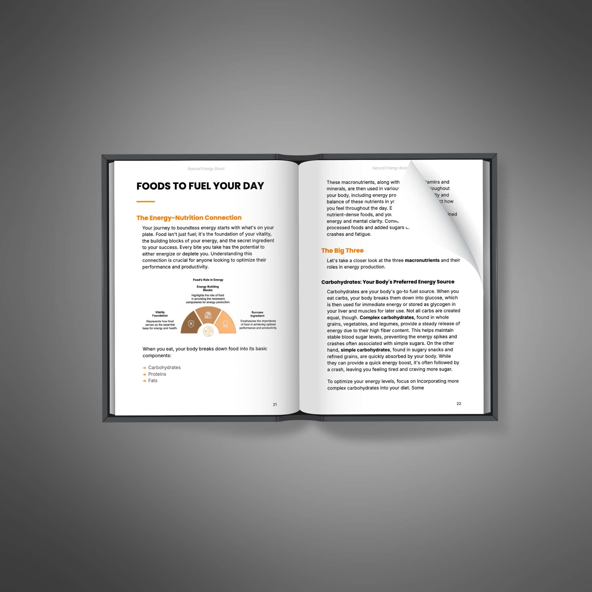 Natural Energy Boost - Book