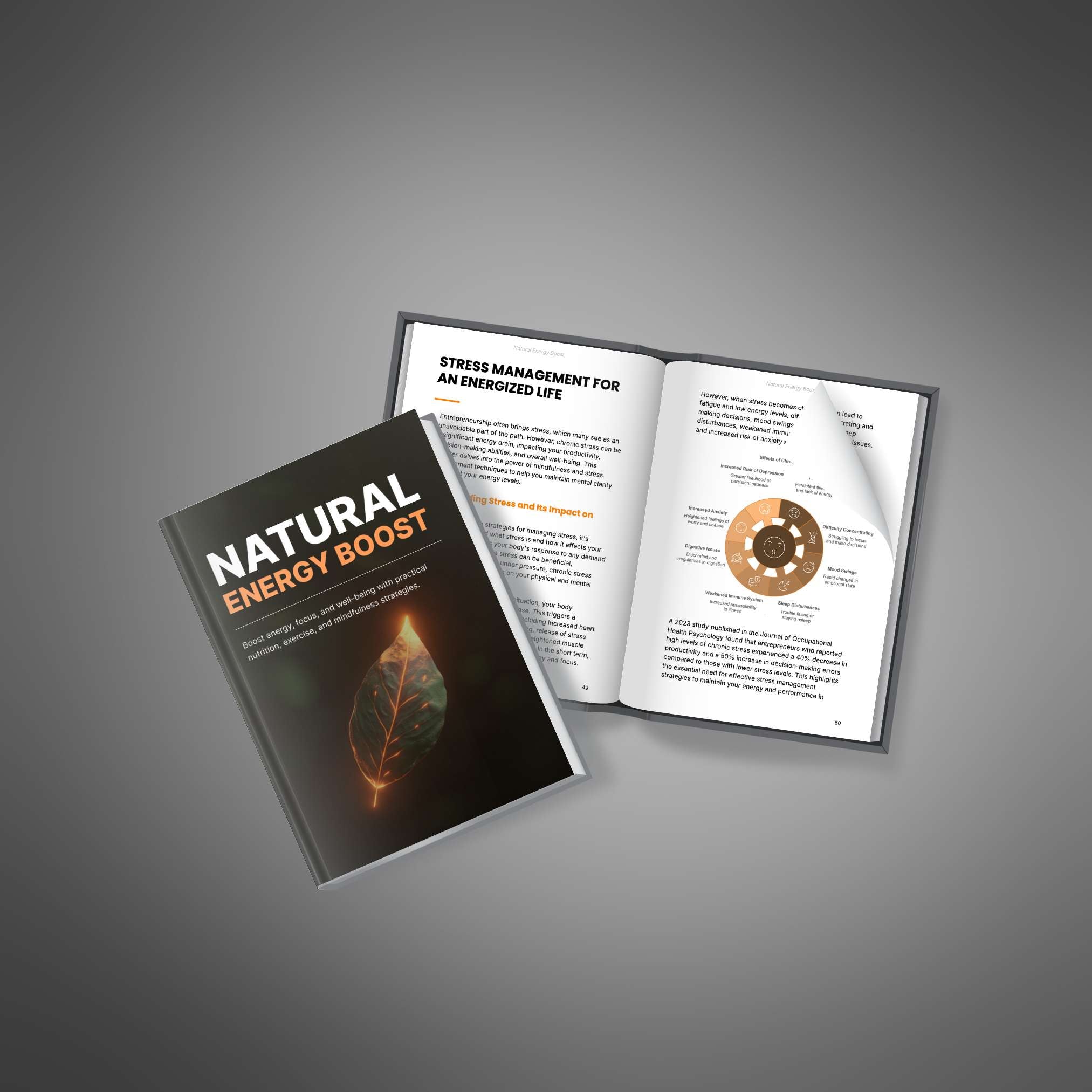 Natural Energy Boost - Book