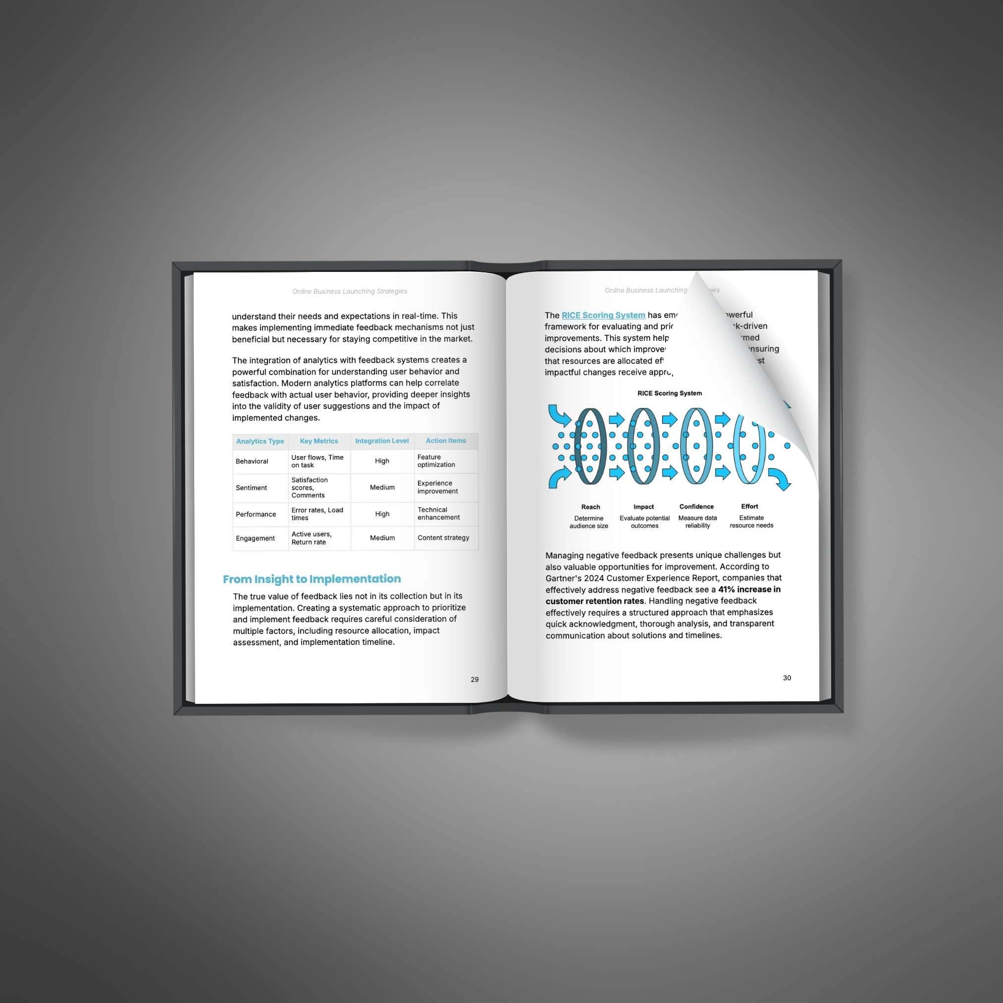 Online Business Launching Strategies - Book