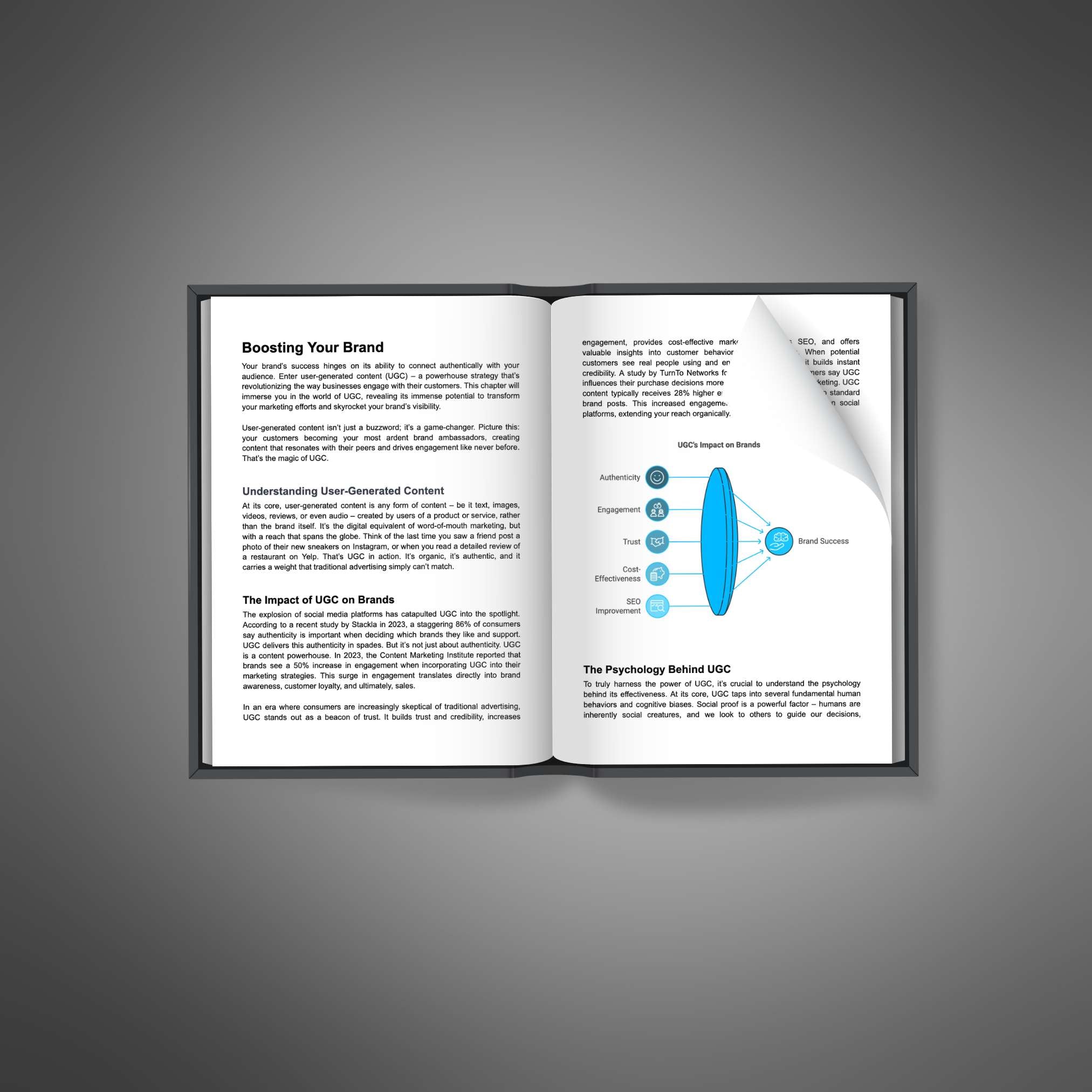 Power of User-Generated Content - Book
