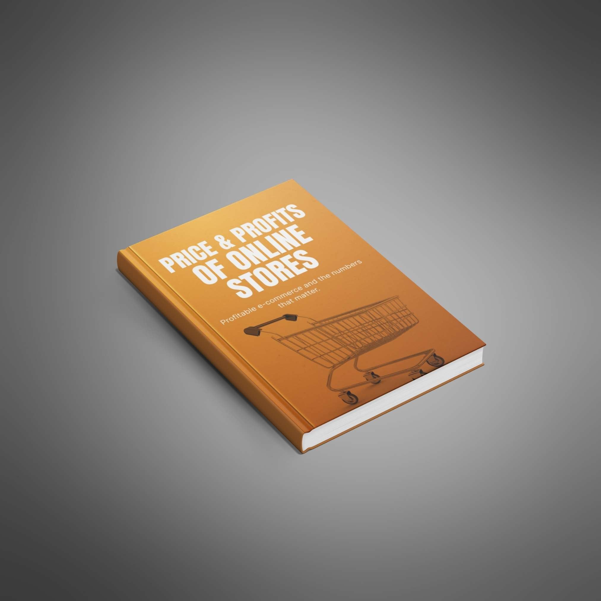 Price and Profits of Online Stores - Ebook