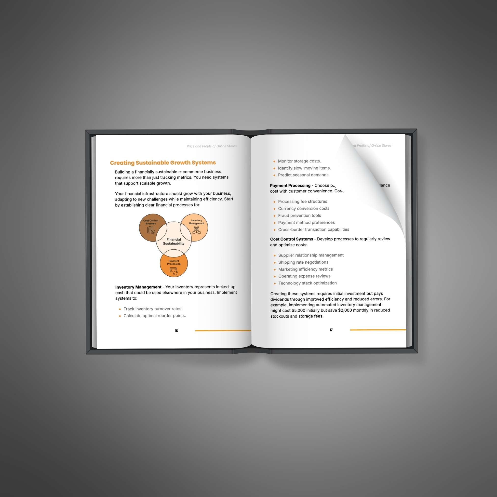 Price and Profits of Online Stores - Ebook