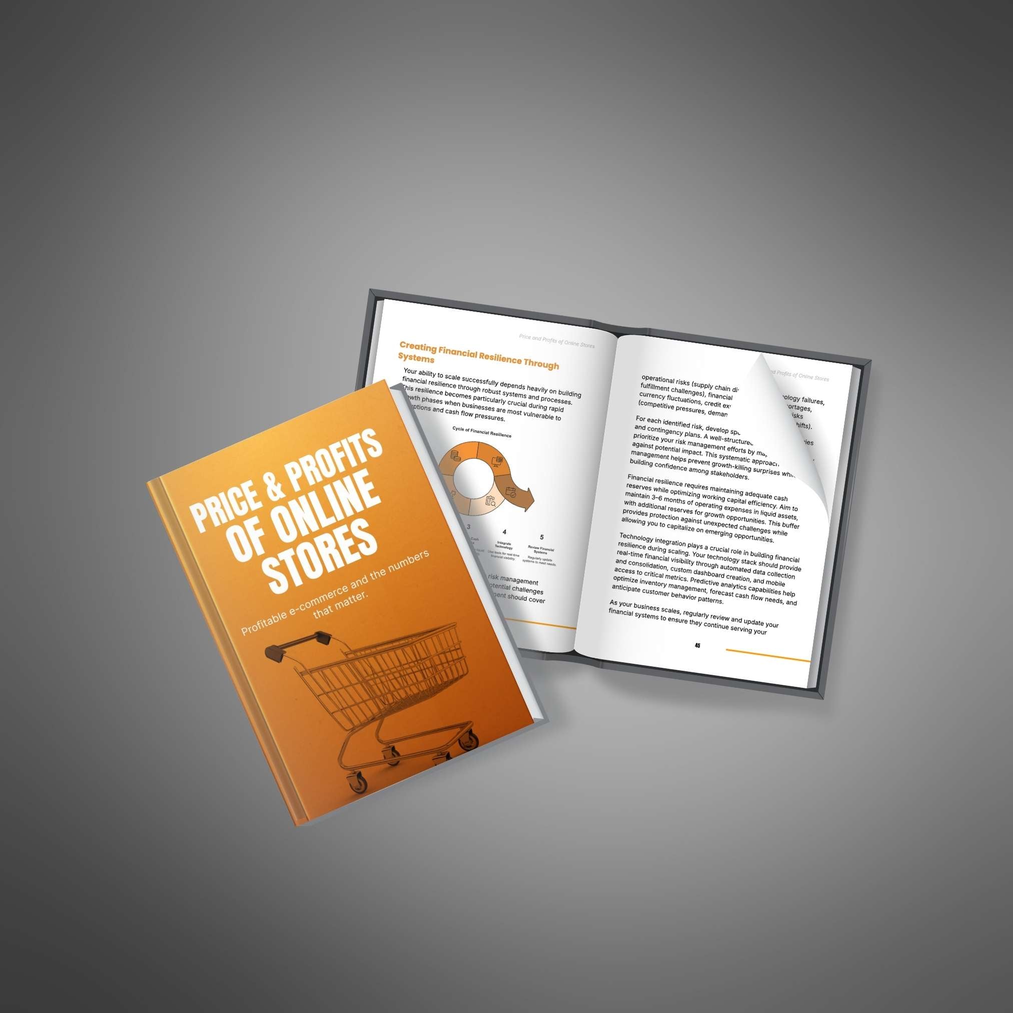 Price and Profits of Online Stores - Ebook