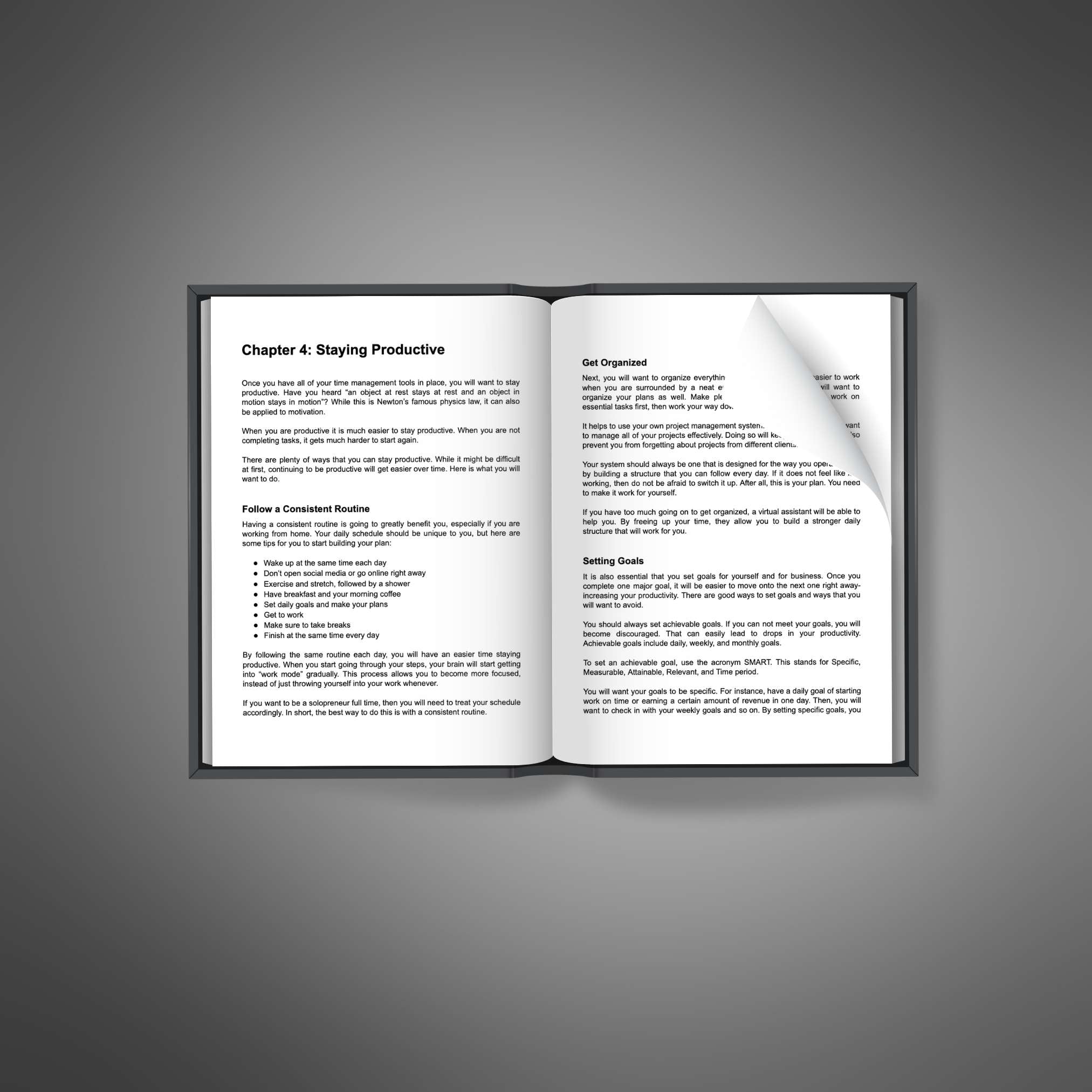 Solopreneur Success