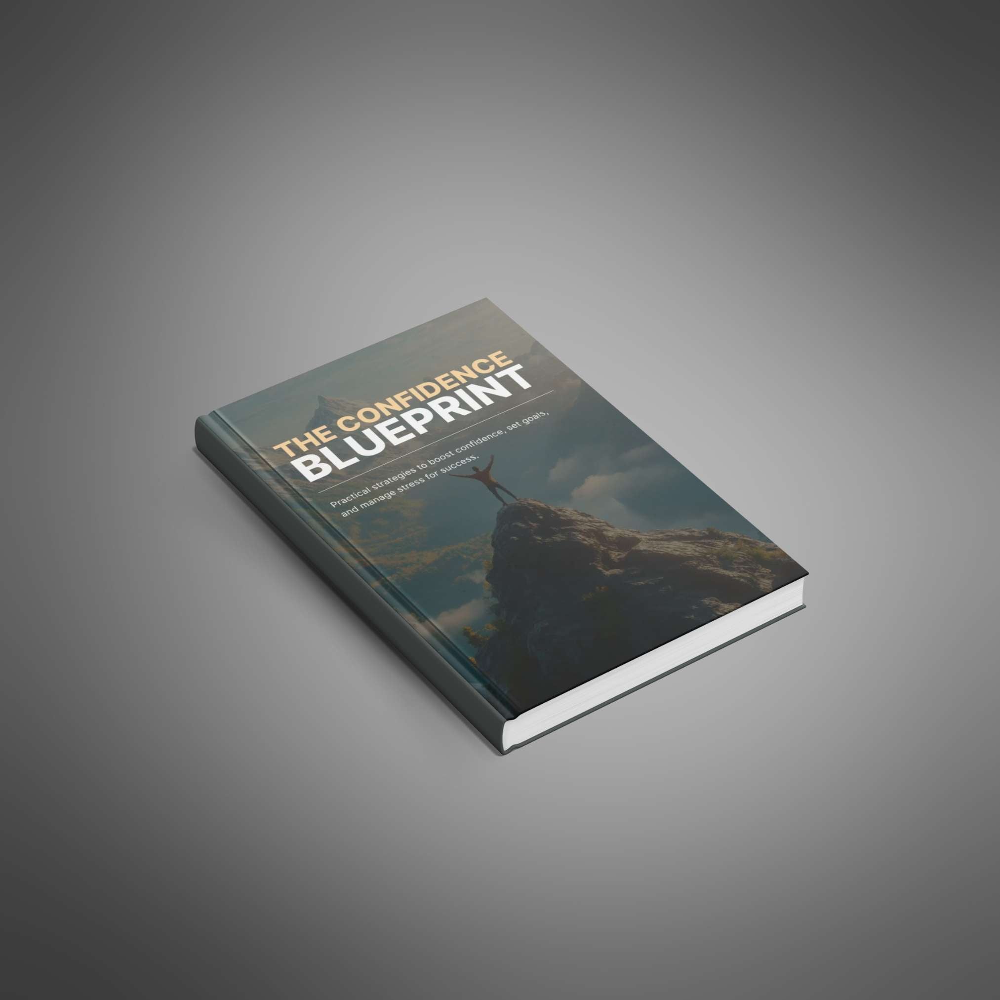 The Confidence Blueprint - Book