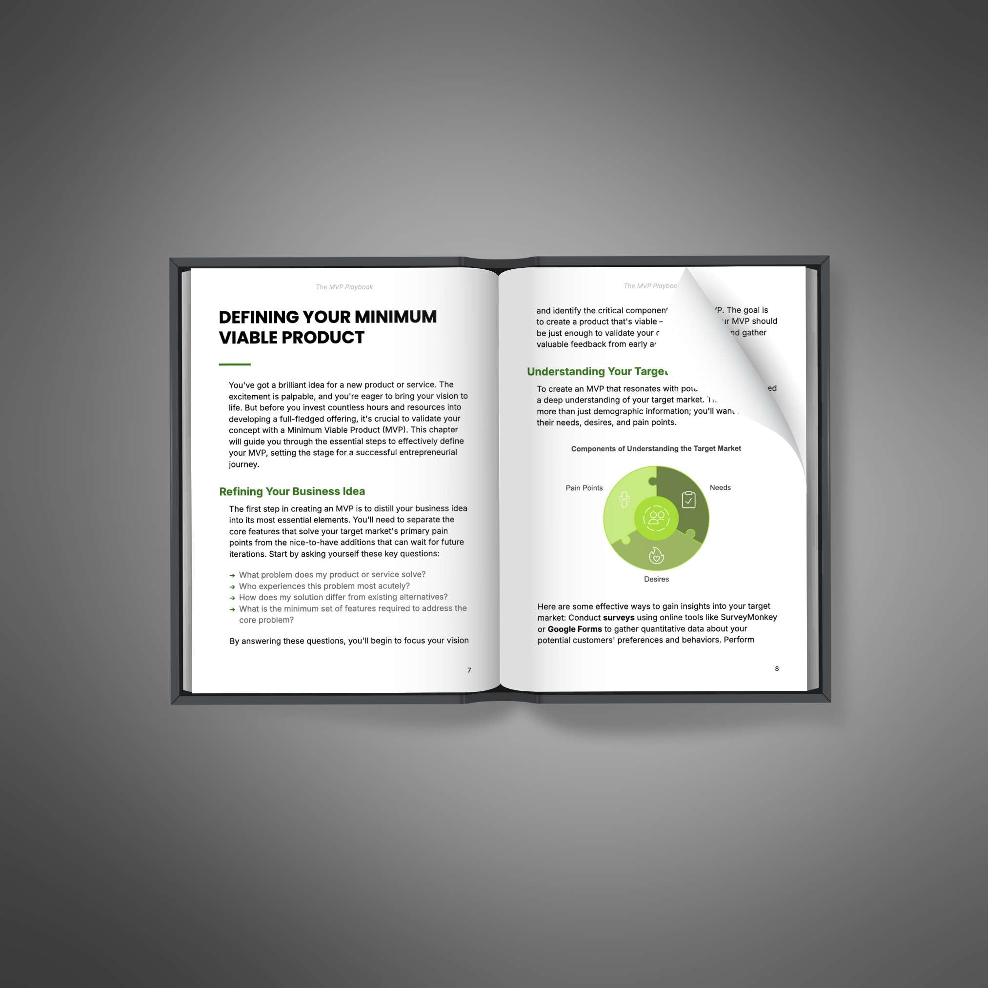 The MVP Playbook - Book