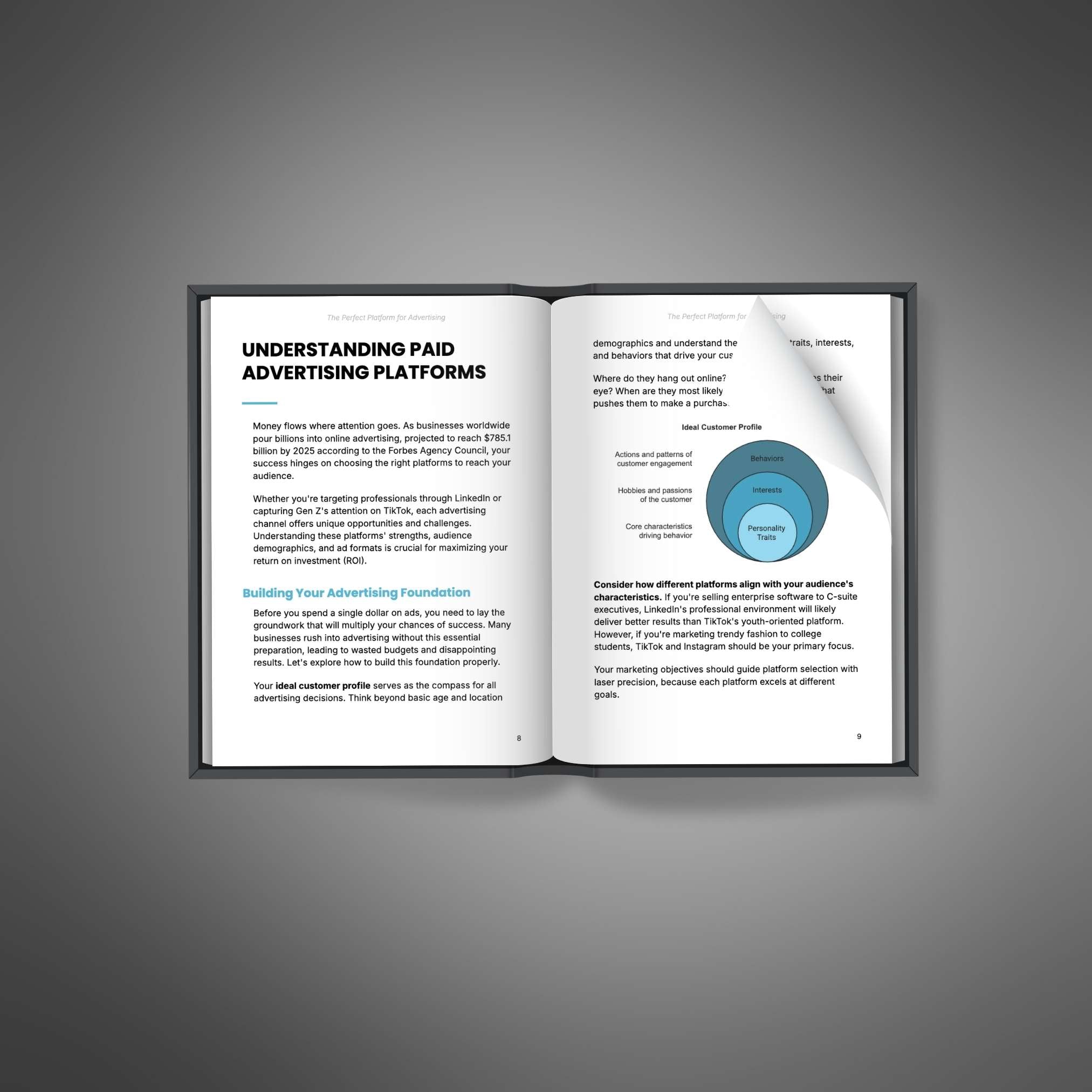 The Perfect Platform for Advertising - Book
