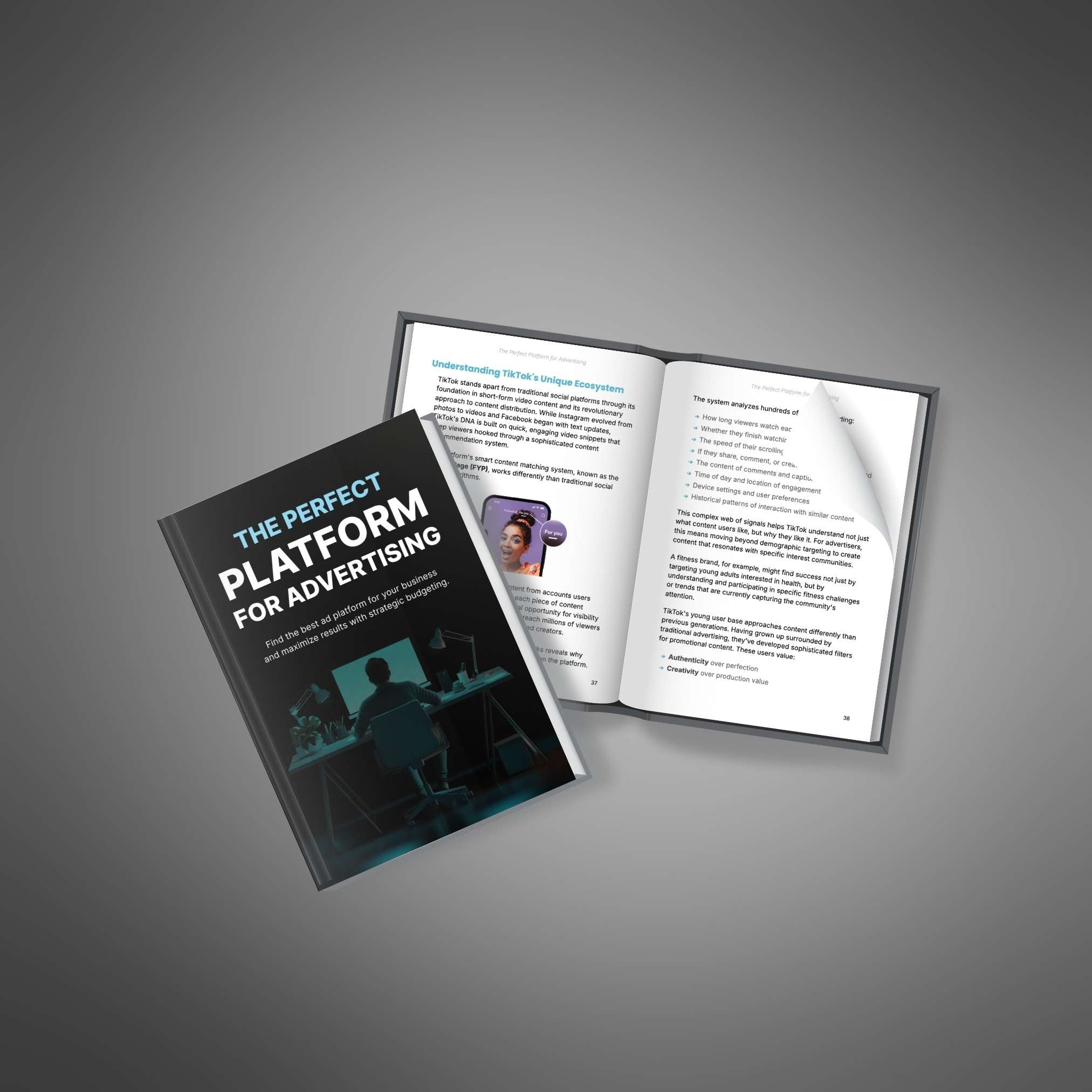 The Perfect Platform for Advertising - Book