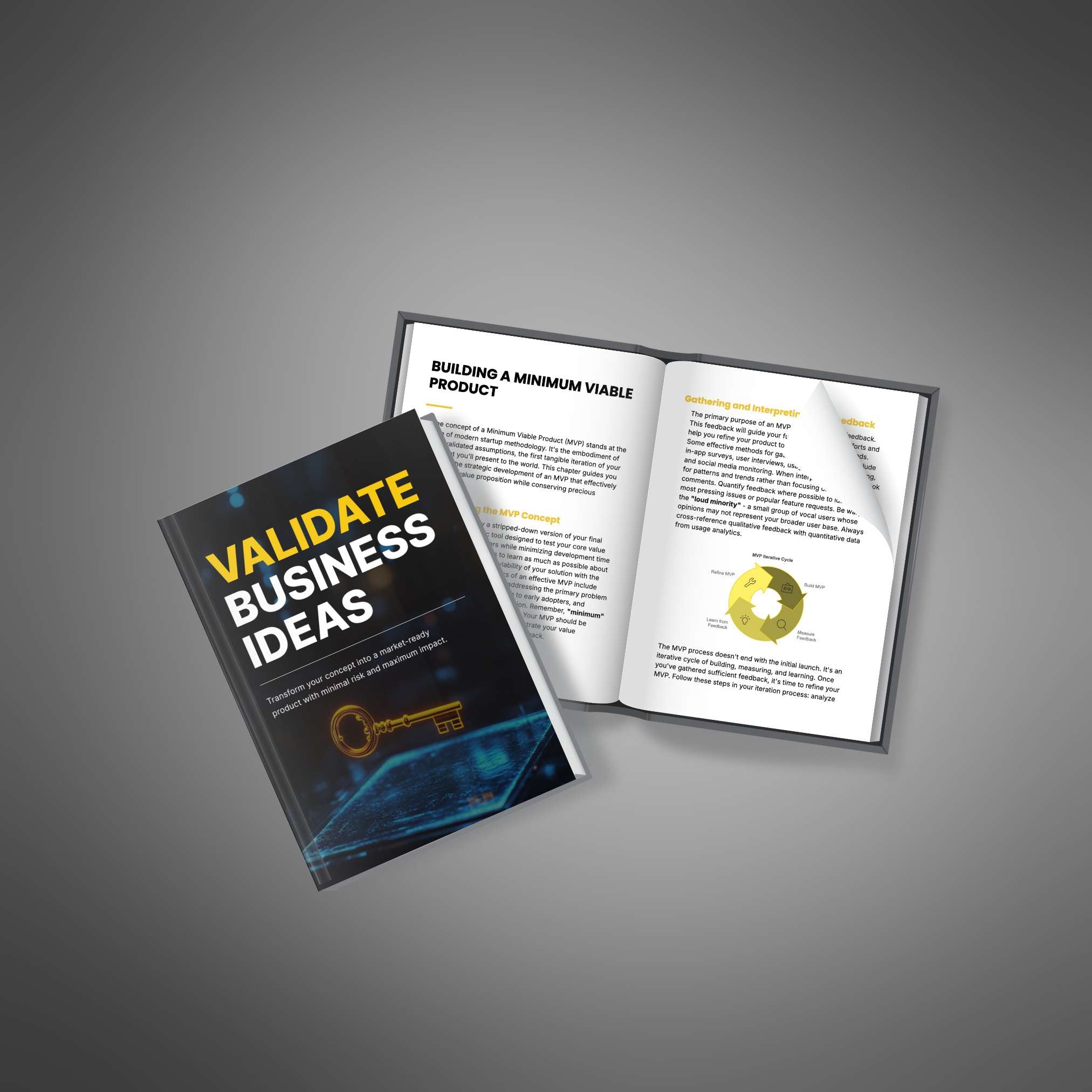 Validate Business Ideas - Book